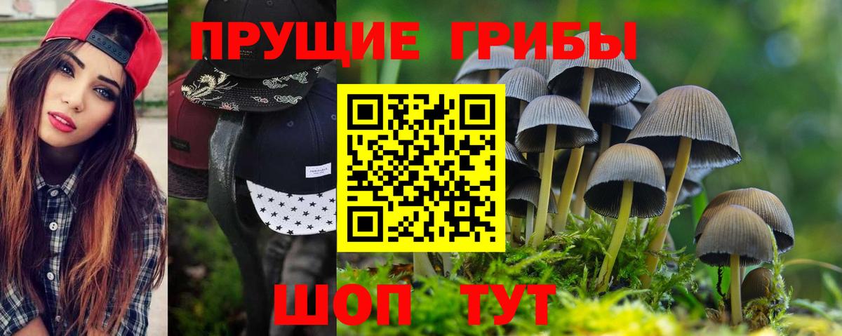 Галлюциногенные грибы Magic Shrooms Янаул