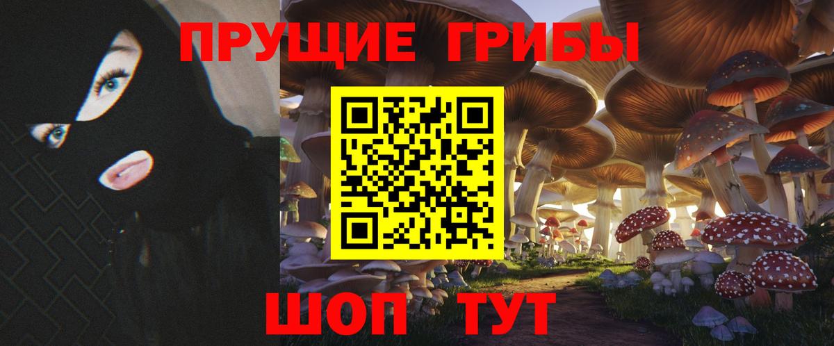 Галлюциногенные грибы прущие грибы  Вход с VPN  Янаул  Псилоцибиновые грибы мухоморы 